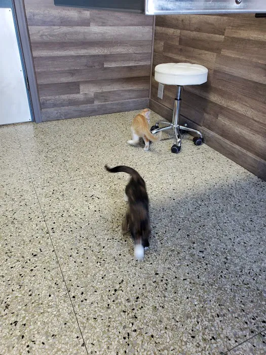 Nova Veterinary Clinic Picture 9