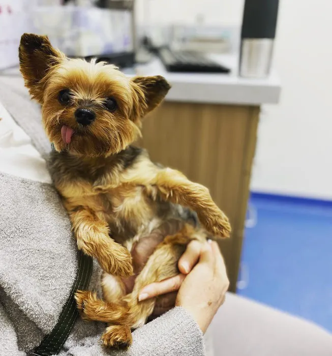 Nova Veterinary Clinic Picture 7