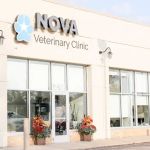 Nova Veterinary Clinic