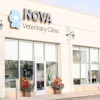 Nova Veterinary Clinic ico
