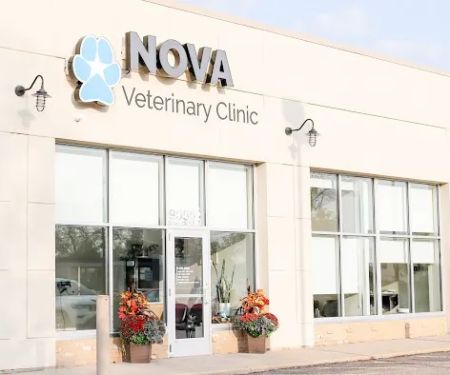 Nova Veterinary Clinic