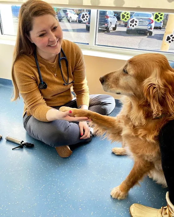Nova Veterinary Clinic Picture 3