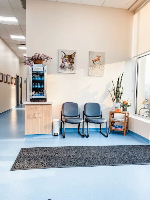 Nova Veterinary Clinic Picture 6