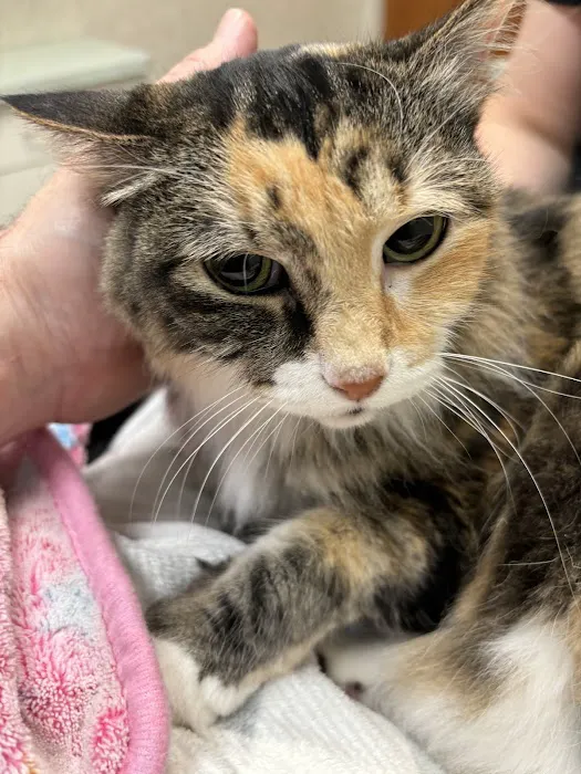 Edina Pet Hospital Picture 1