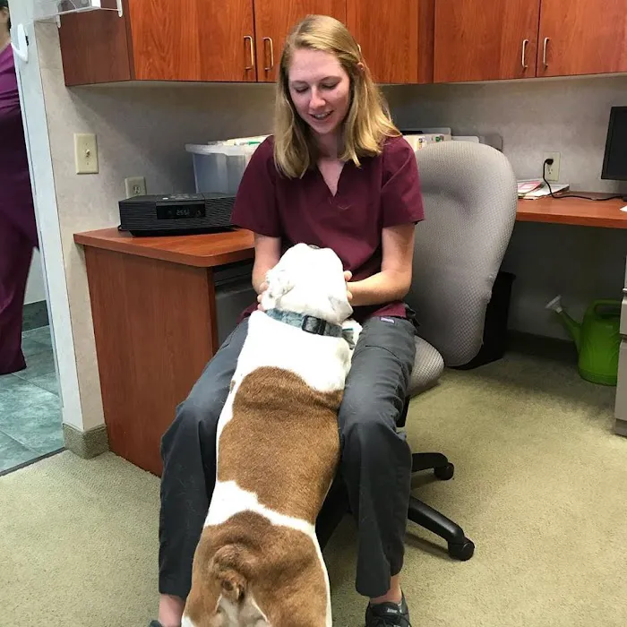 Edina Pet Hospital Picture 9