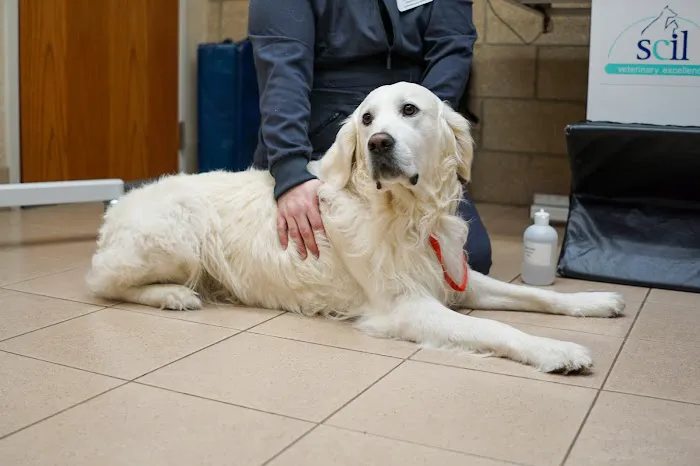 Edina Pet Hospital Picture 2