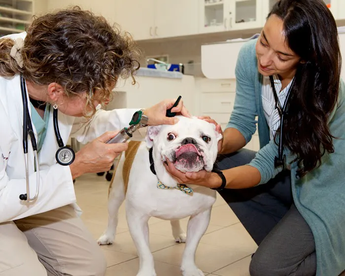 Edina Pet Hospital Picture 8