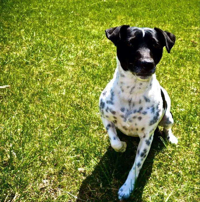 Edina Pet Hospital Picture 10