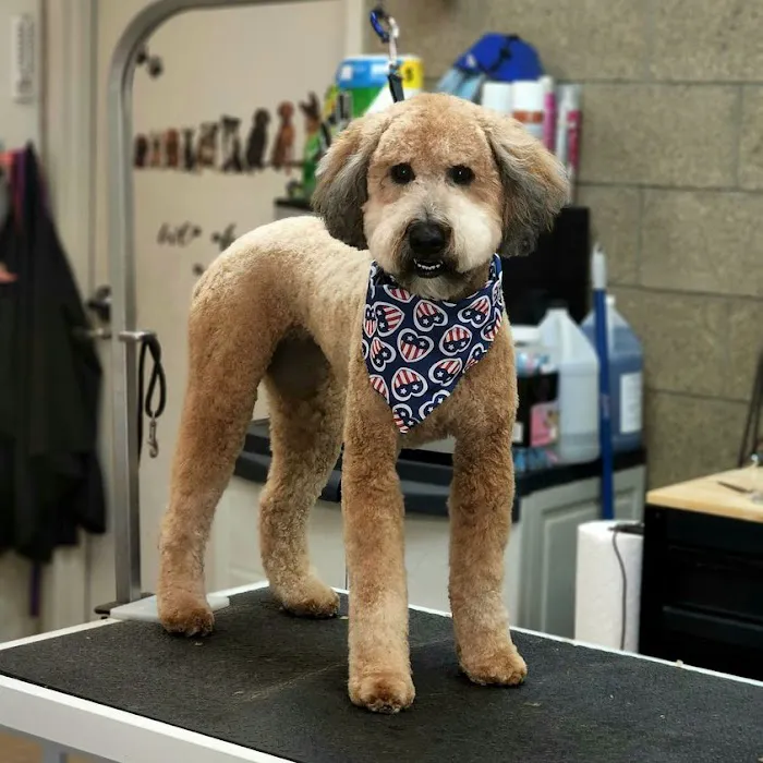 Edina Pet Hospital Picture 6