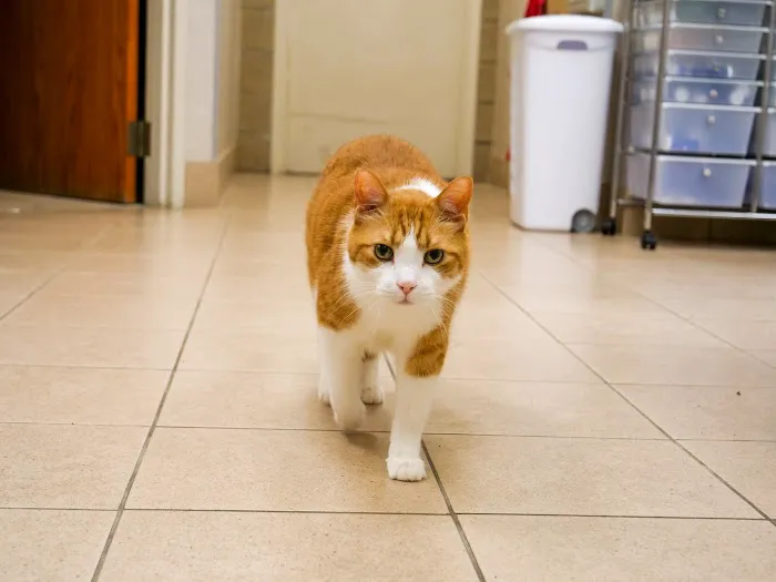 Edina Pet Hospital Picture 3