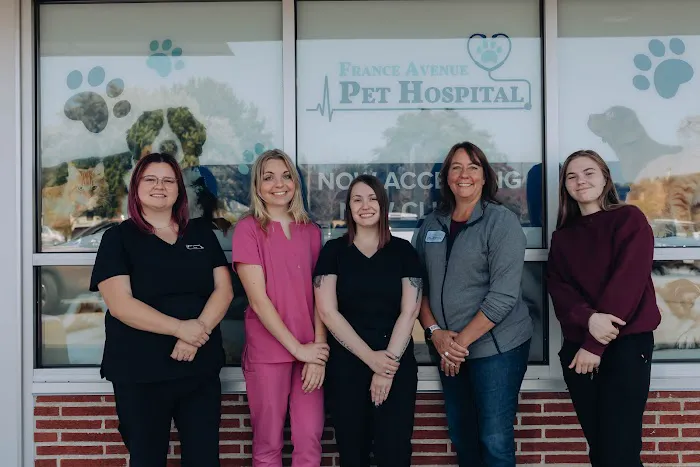 France Avenue Pet Hospital Picture 4