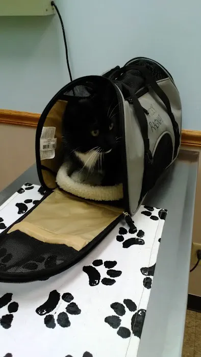 France Avenue Pet Hospital Picture 1