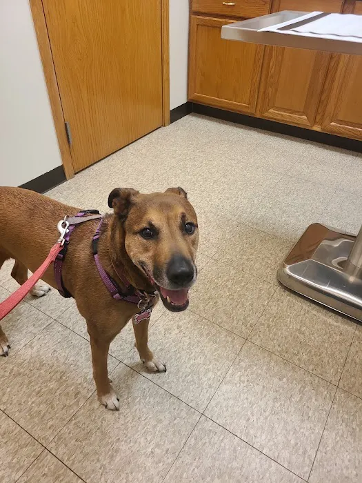 France Avenue Pet Hospital Picture 6