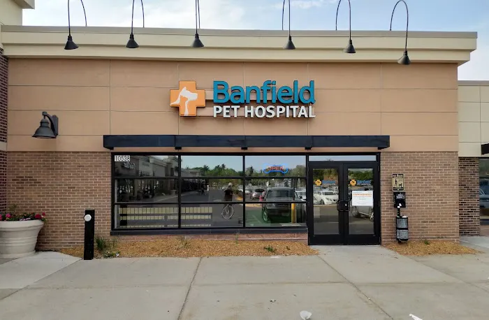 Banfield Pet Hospital Picture 5