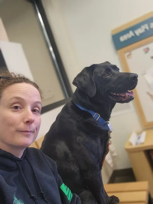 Banfield Pet Hospital Picture 1