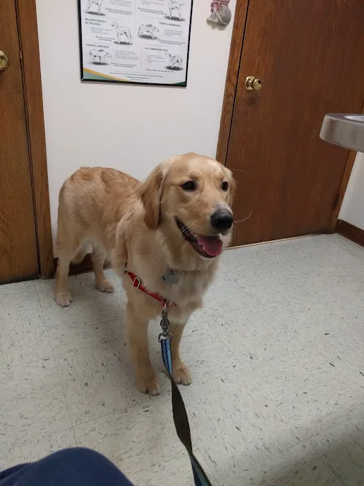 Centennial Veterinary Clinic Picture 3
