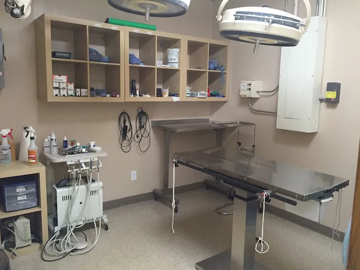 Champlin Park Pet Hospital Picture 7
