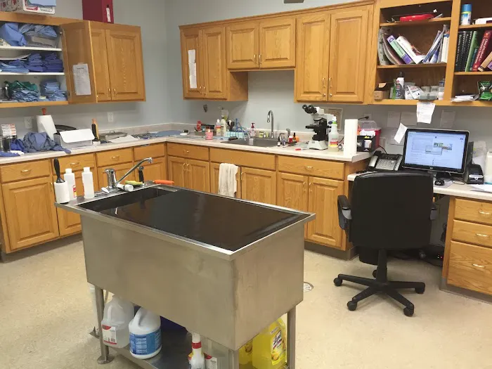 Champlin Park Pet Hospital Picture 8