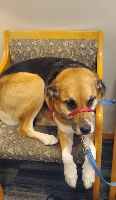 Blaine Area Pet Hospital PA Picture 4