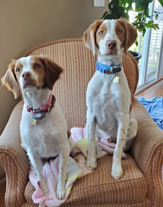 Blaine Area Pet Hospital PA Picture 7