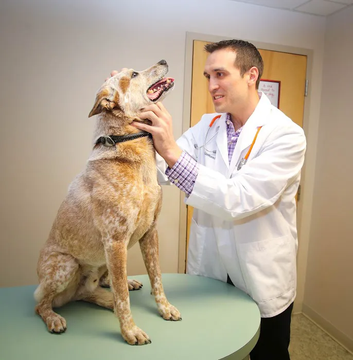 Birch Lake Animal Hospital Picture 7