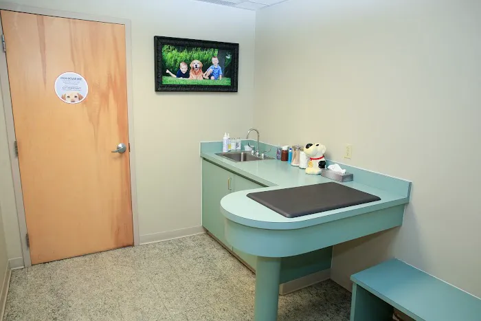 Birch Lake Animal Hospital Picture 6