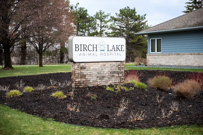 Birch Lake Animal Hospital Picture 4
