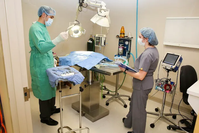 Birch Lake Animal Hospital Picture 3