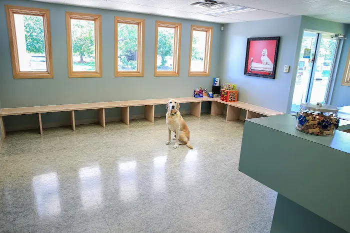 Birch Lake Animal Hospital Picture 1