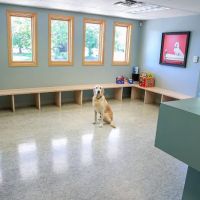 Birch Lake Animal Hospital ico