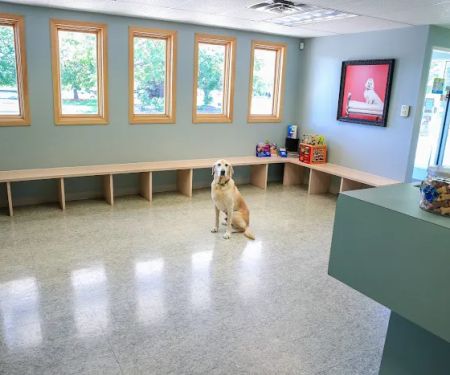 Birch Lake Animal Hospital