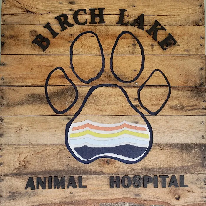 Birch Lake Animal Hospital Picture 10