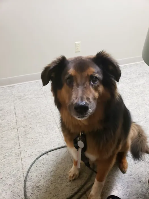 Birch Lake Animal Hospital Picture 2