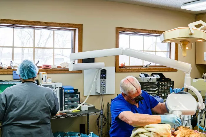 Keller Lake Animal Hospital Picture 10