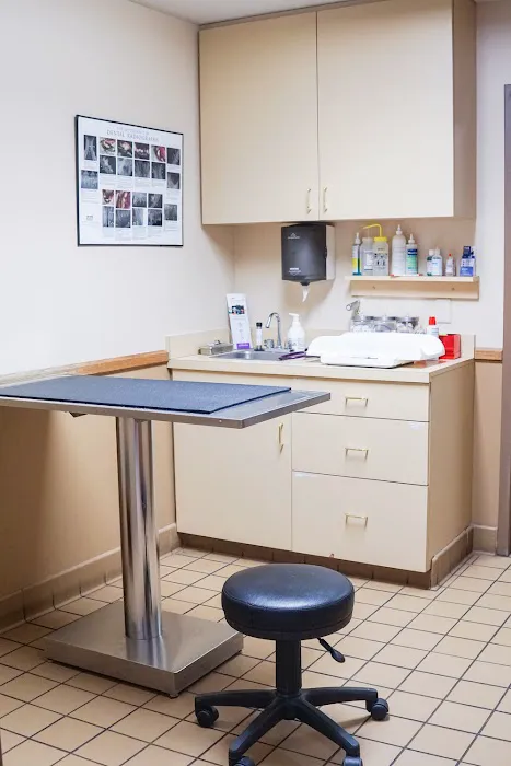 Keller Lake Animal Hospital Picture 5