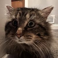 Otter Lake Animal Care Center ico