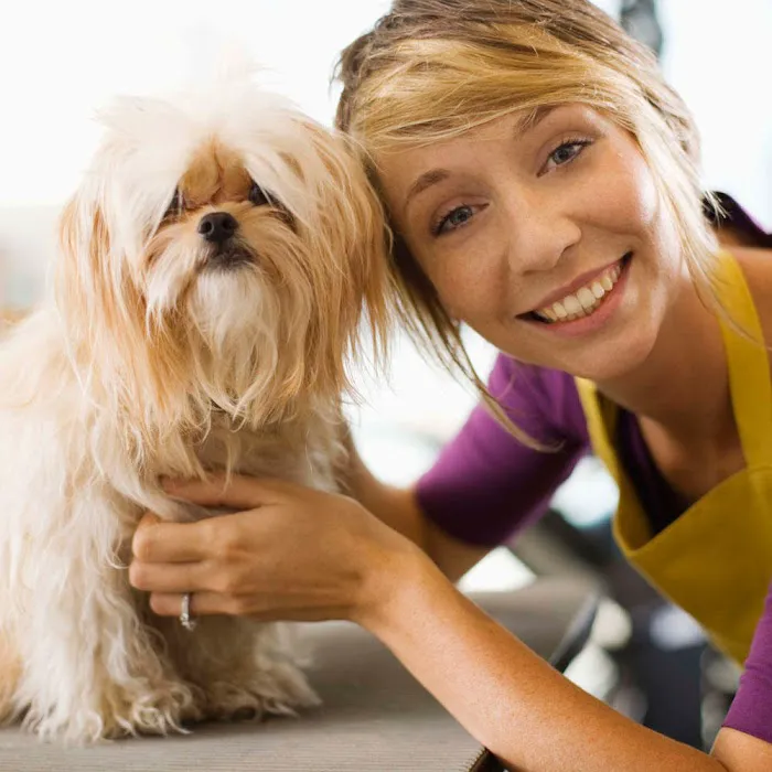 VCA Animal Wellness Center of Maple Grove Picture 1