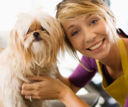 VCA Animal Wellness Center of Maple Grove