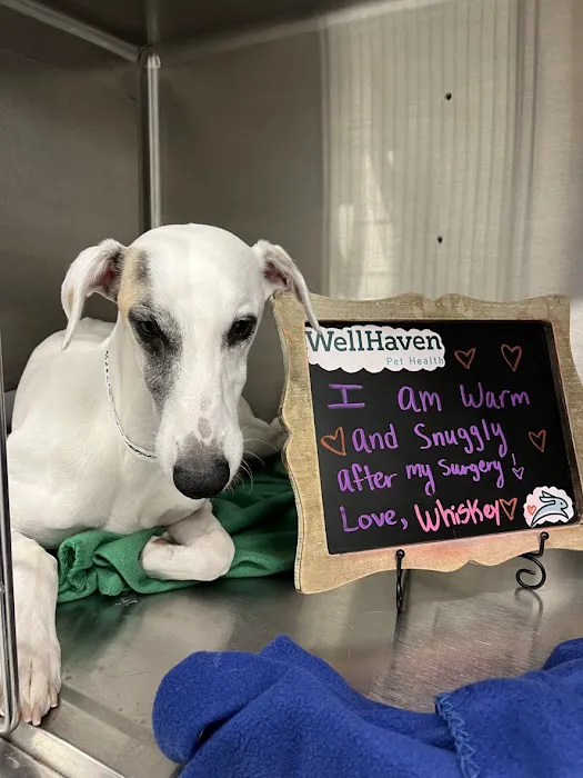 WellHaven Pet Health Maple Grove, MN Picture 4
