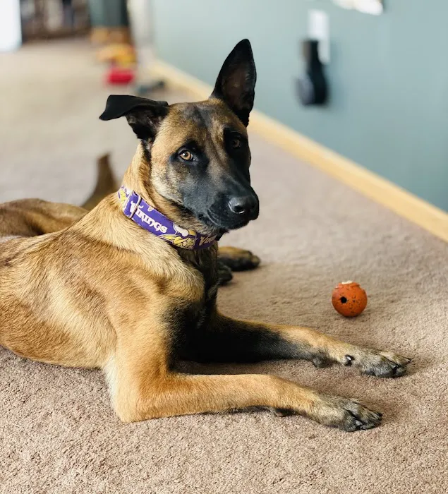 WellHaven Pet Health Maple Grove, MN Picture 8