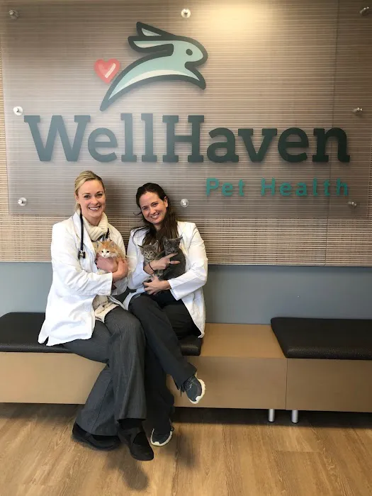 WellHaven Pet Health Maple Grove, MN Picture 9