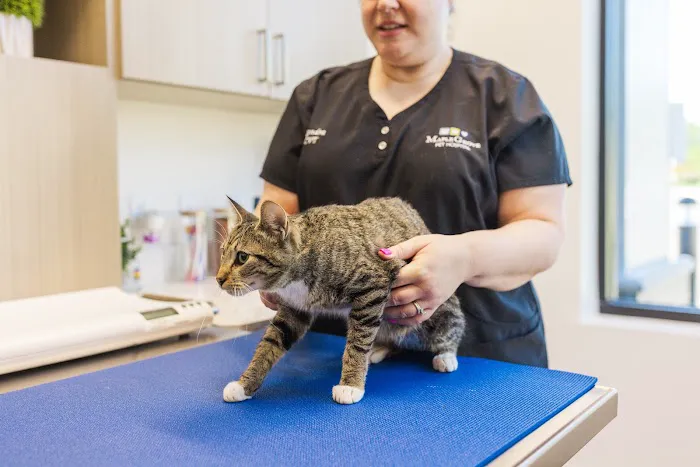 Maple Grove Pet Hospital Picture 6