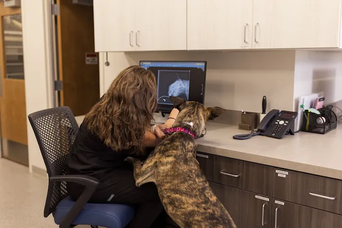 Maple Grove Pet Hospital Picture 5