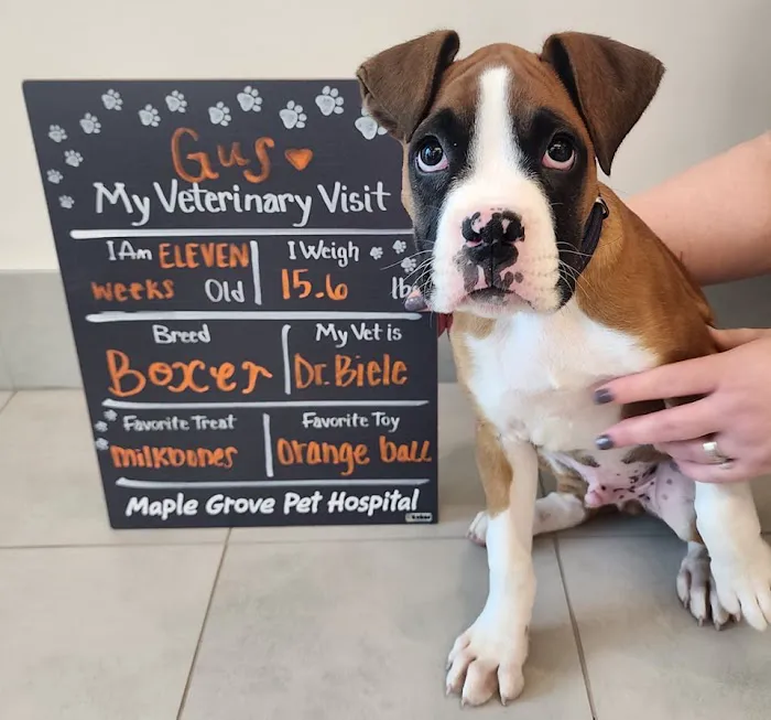 Maple Grove Pet Hospital Picture 10
