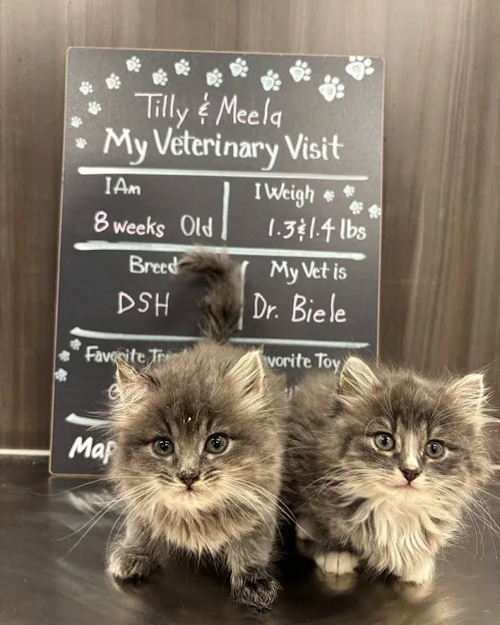 Maple Grove Pet Hospital Picture 7