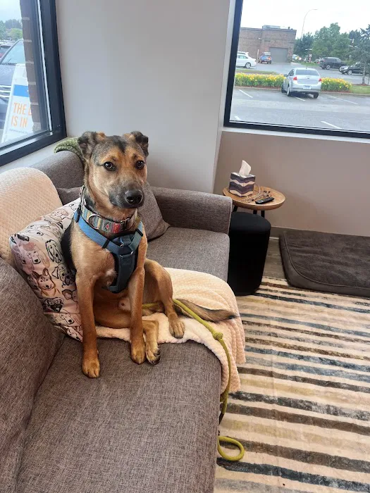 PetVet365 Pet Hospital Plymouth Picture 5