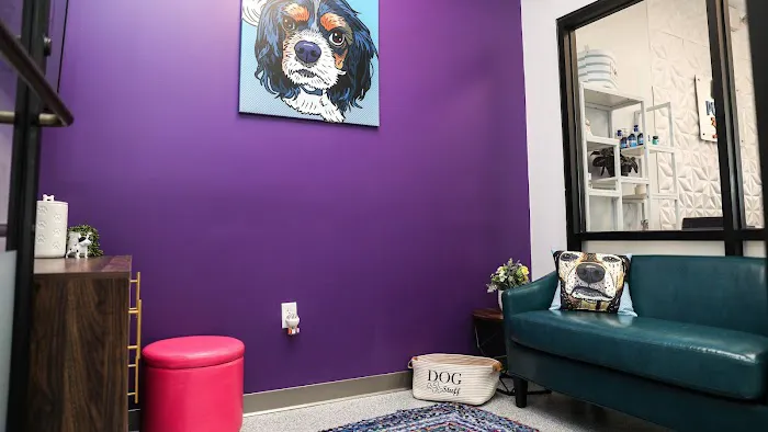 PetVet365 Pet Hospital Plymouth Picture 8