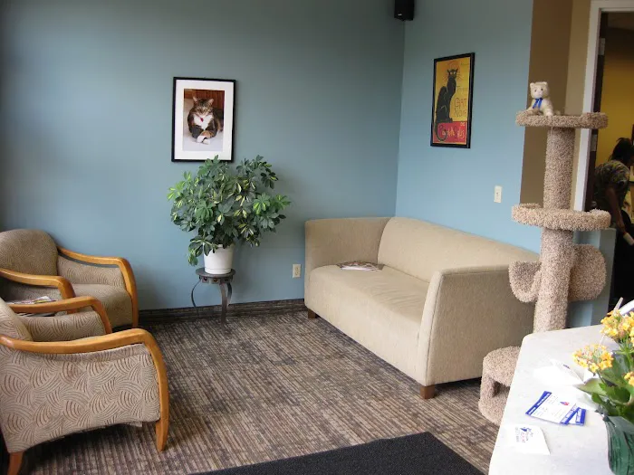 Cats Preferred Veterinary Hospital Picture 1