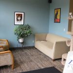Cats Preferred Veterinary Hospital