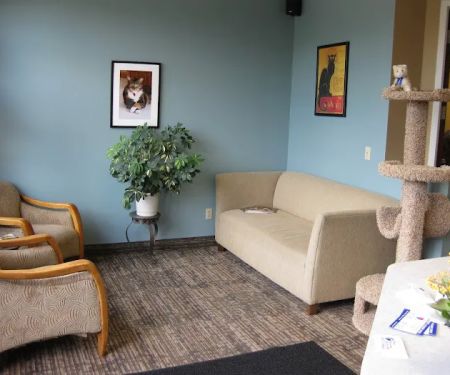 Cats Preferred Veterinary Hospital